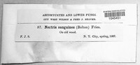 Image Associated With the Occurence